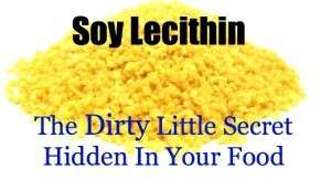 soy lecithin in protein powder