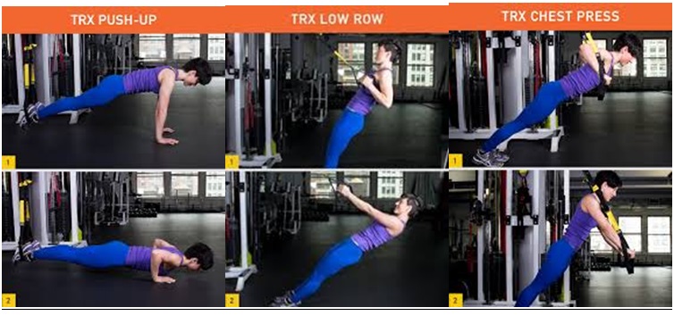 TRX workouts for beginners