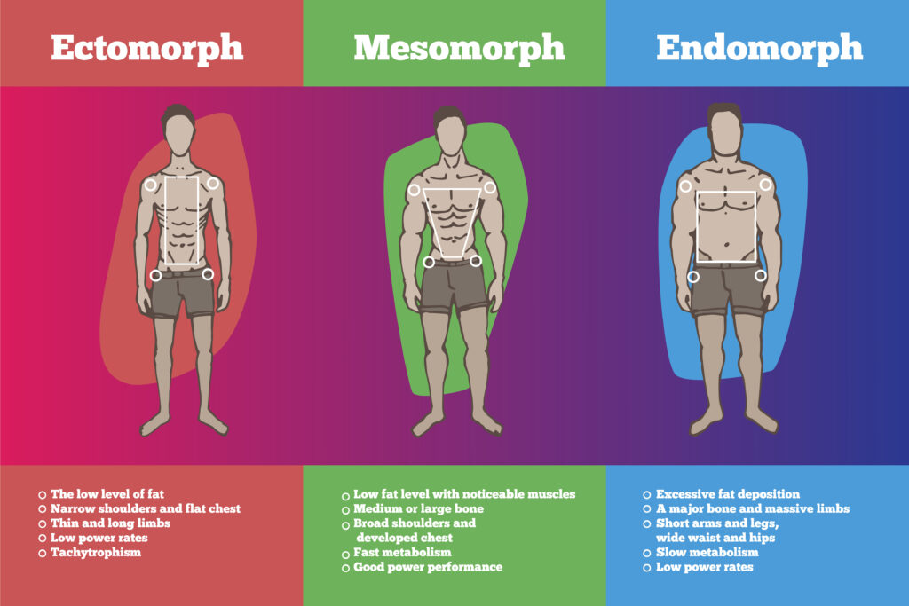Effective Macros for Ectomorphs: The Ultimate Guide