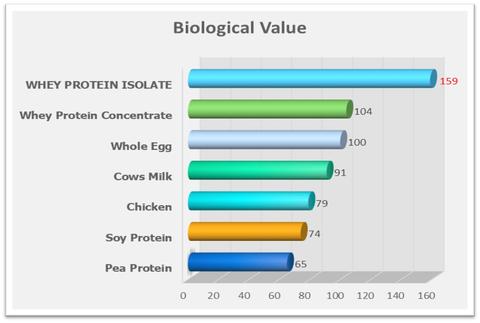 biological value of protein