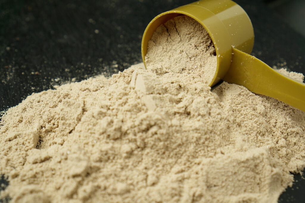 bulk protein powder