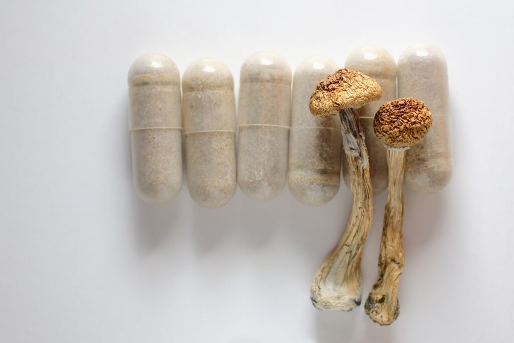 mushroom pre workout supplements